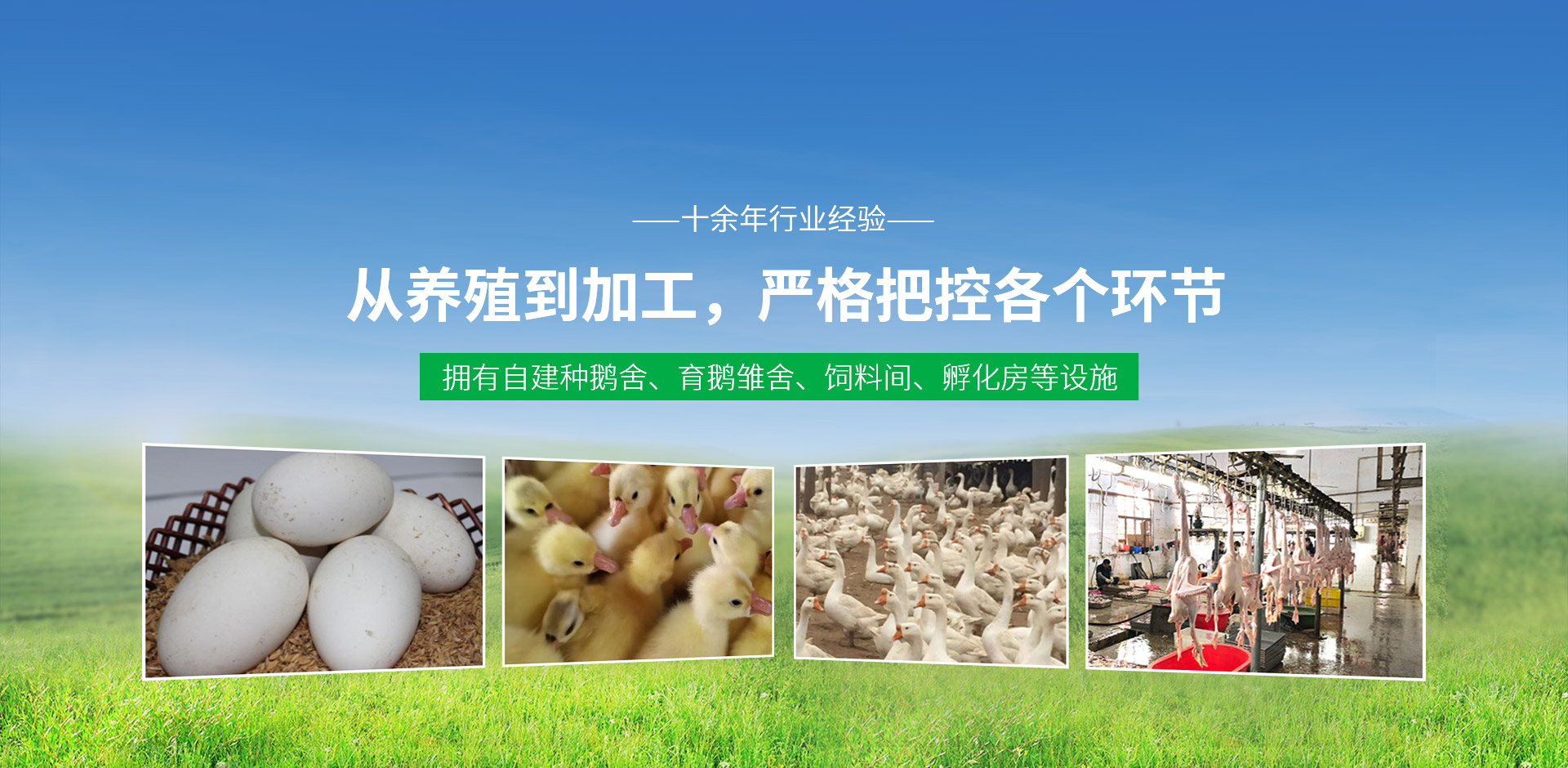 原陽縣建源禽業有限公司